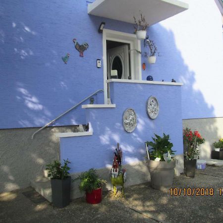 Gite Du Coq Lingolsheim Esterno foto