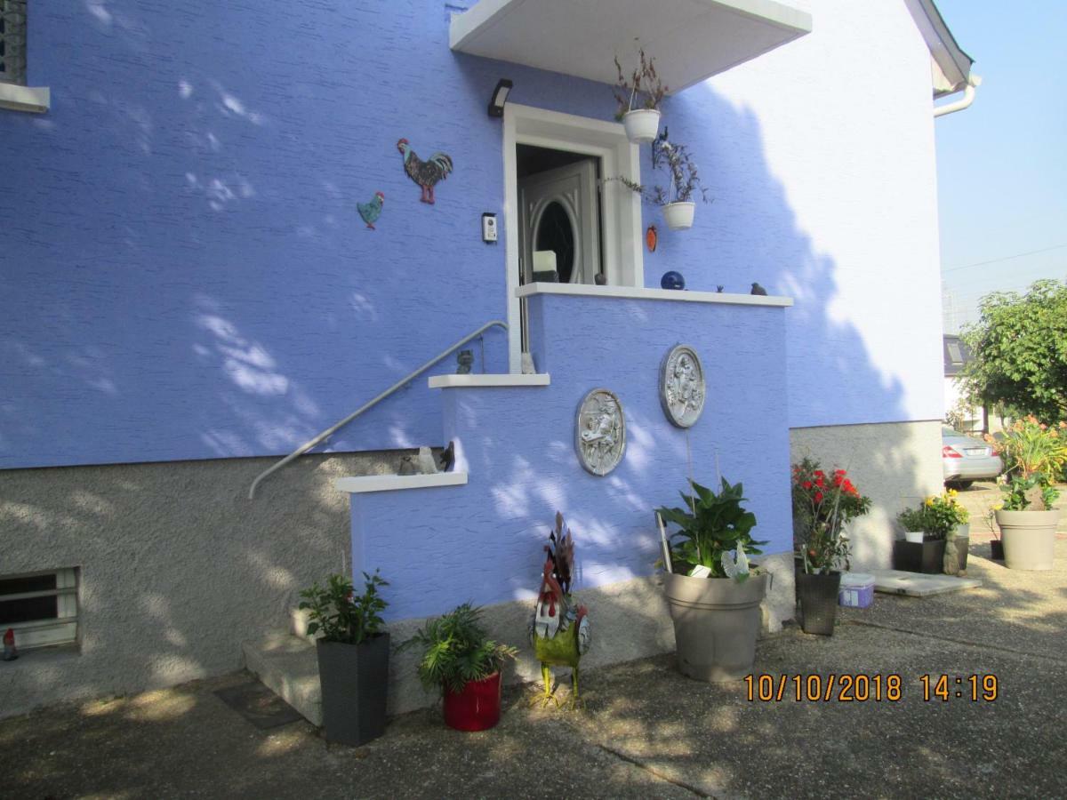 Gite Du Coq Lingolsheim Esterno foto